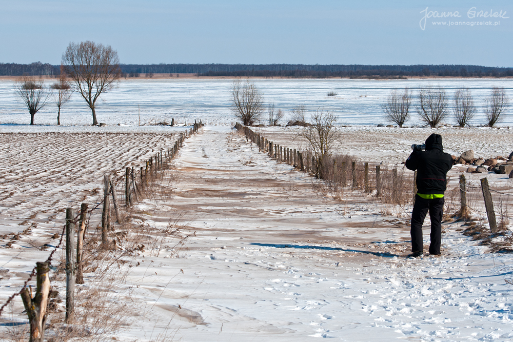 022_Biebrza - marzec 2013.jpg